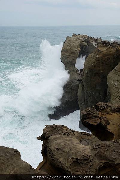 DSCF1941.jpg DSCF1941.jpg