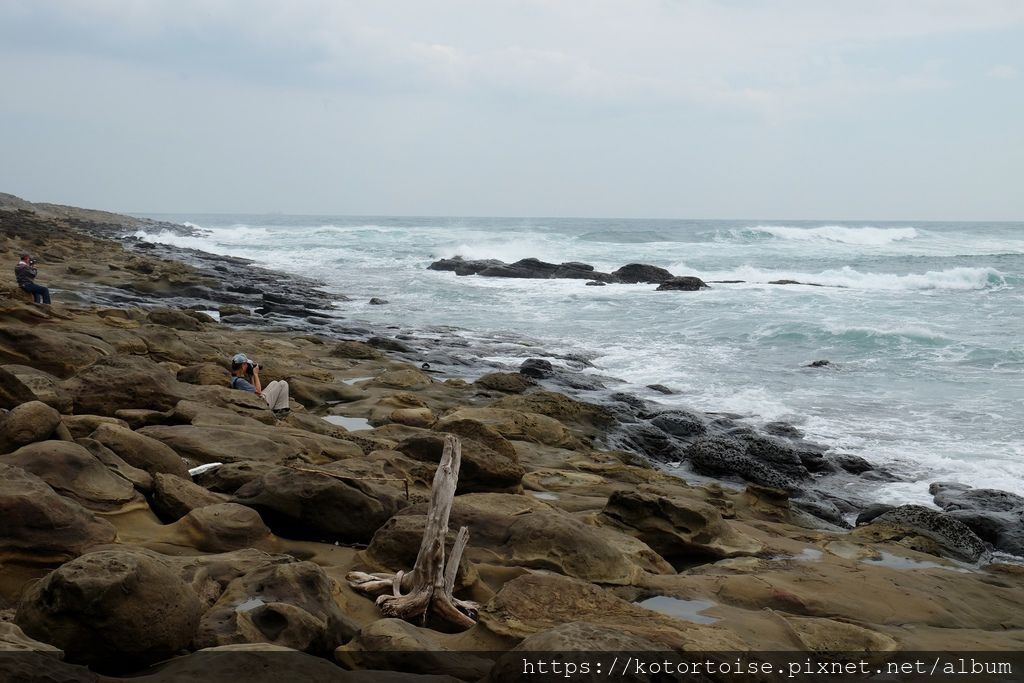 DSCF1946.jpg DSCF1946.jpg