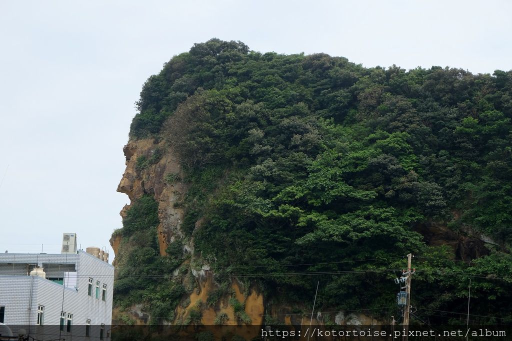 DSCF1962.jpg DSCF1962.jpg