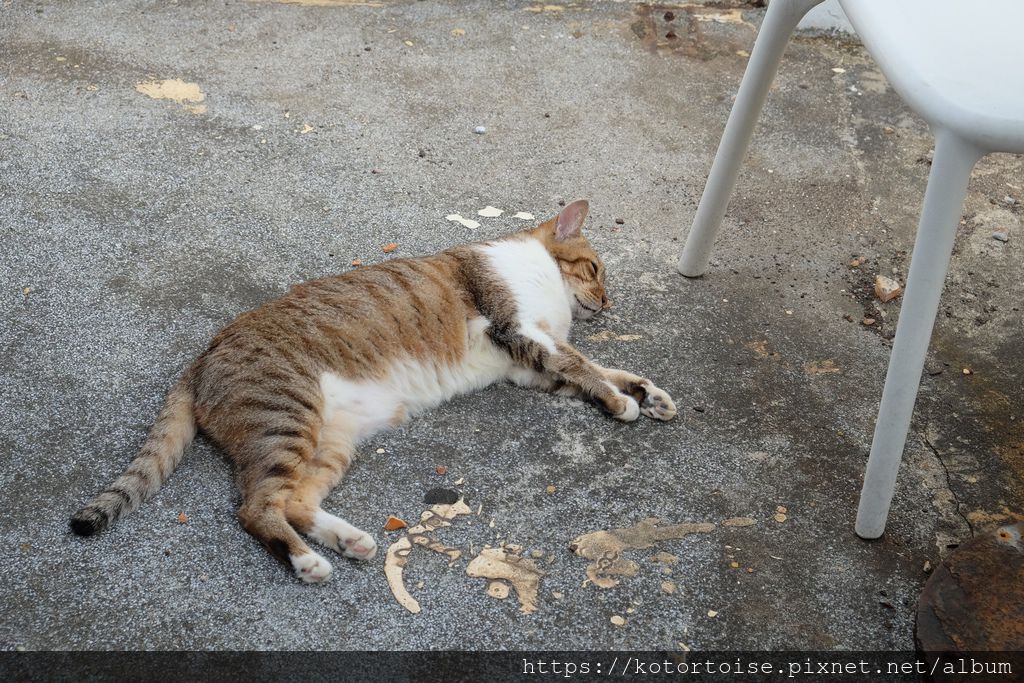 DSCF2005.jpg DSCF2005.jpg