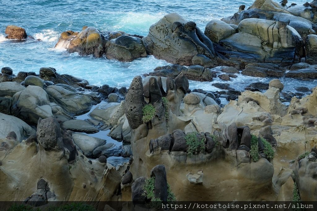 [台灣/基隆] 2019.10 和平島半日遊，天然海水泳池魚