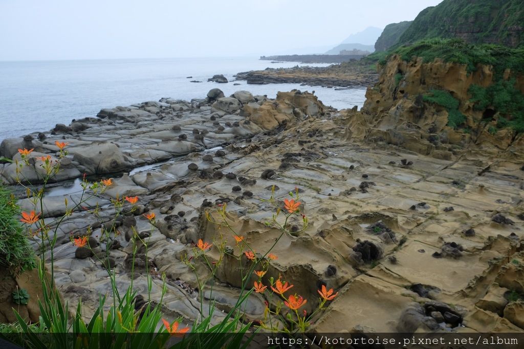 [台灣/基隆] 2019.10 和平島半日遊，天然海水泳池魚