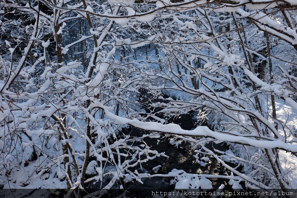 [日本北陸] 再訪平湯溫泉，發現當地人的祕密滑雪場