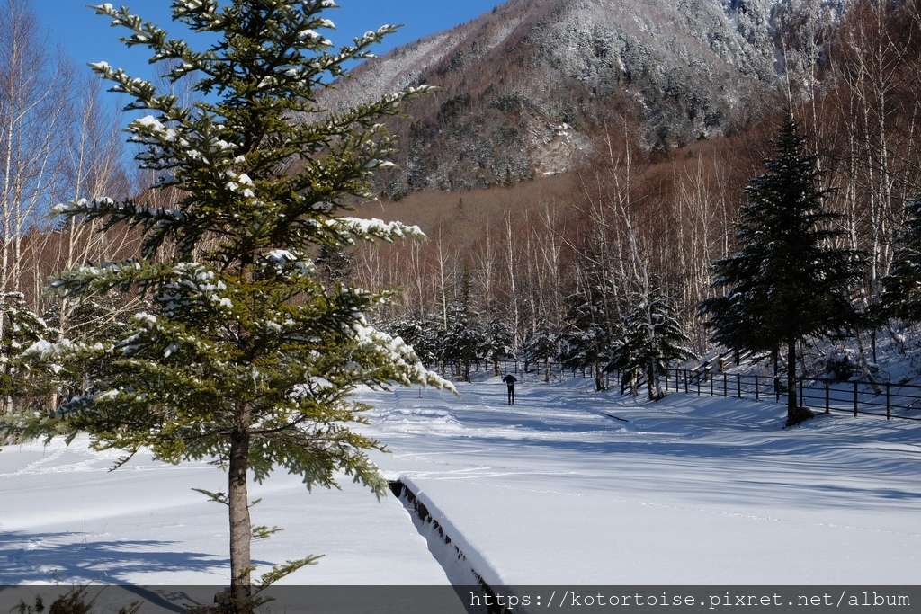 [日本北陸] 再訪平湯溫泉，發現當地人的祕密滑雪場