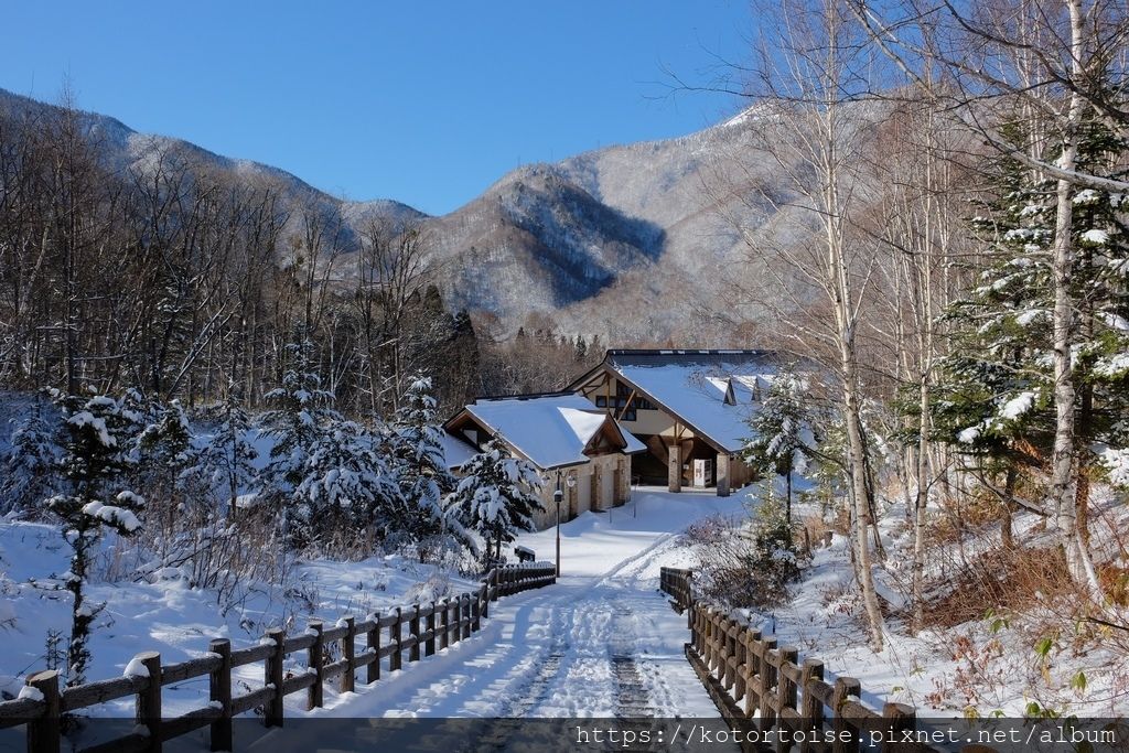 [日本北陸] 再訪平湯溫泉，發現當地人的祕密滑雪場