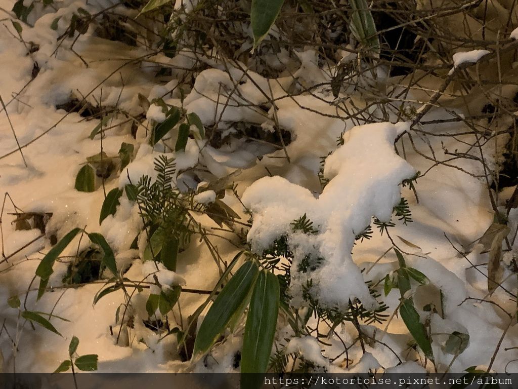 [日本北陸] 再訪平湯溫泉，發現當地人的祕密滑雪場