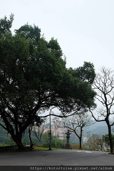 DSCF2854.jpg DSCF2854.jpg