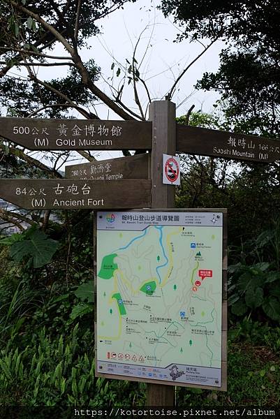 DSCF2941.jpg DSCF2941.jpg