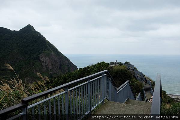 DSCF2949.jpg DSCF2949.jpg