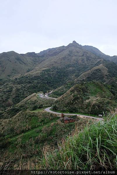 DSCF2951.jpg DSCF2951.jpg