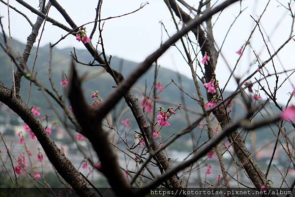 DSCF2962.jpg DSCF2962.jpg