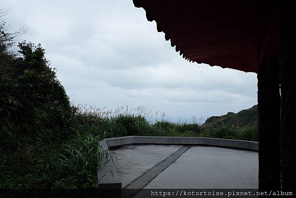 DSCF2960.jpg DSCF2960.jpg