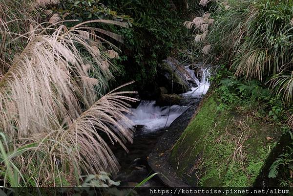 DSCF2969.jpg DSCF2969.jpg