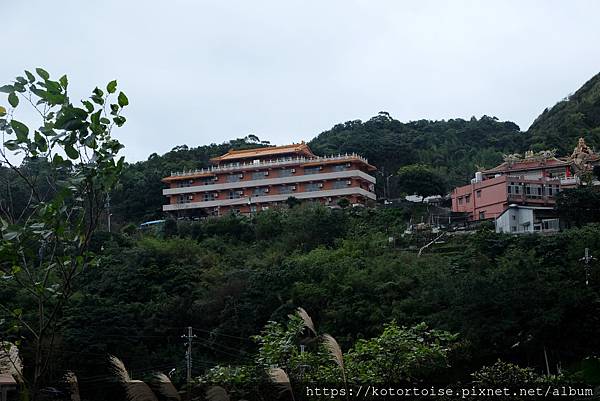 DSCF2975.jpg DSCF2975.jpg