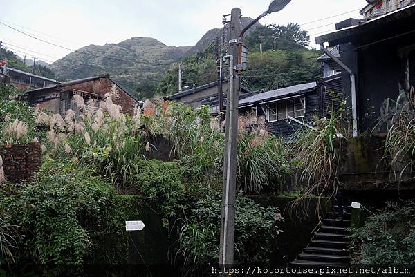 DSCF2972.jpg DSCF2972.jpg