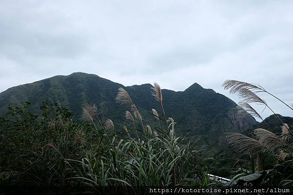 DSCF2976.jpg DSCF2976.jpg