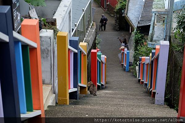 DSCF2994.jpg DSCF2994.jpg