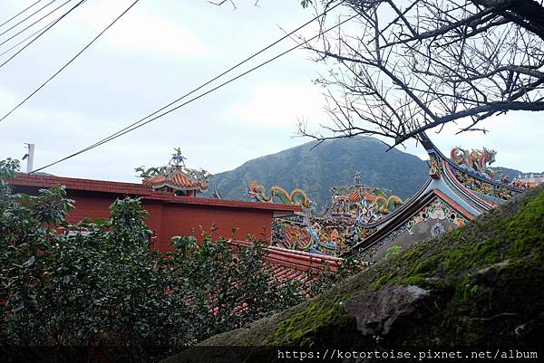 DSCF3004.jpg DSCF3004.jpg