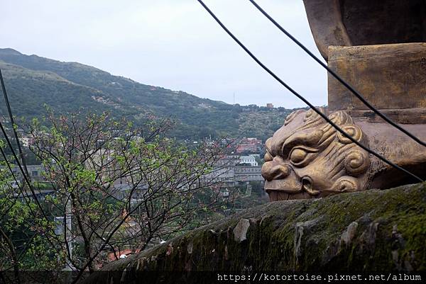 DSCF3006.jpg DSCF3006.jpg