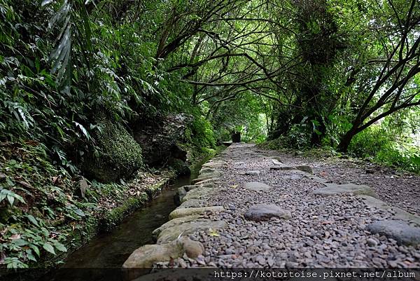[台灣/新北] 2020.7 再訪福山部落,大羅蘭溪秘境玩水