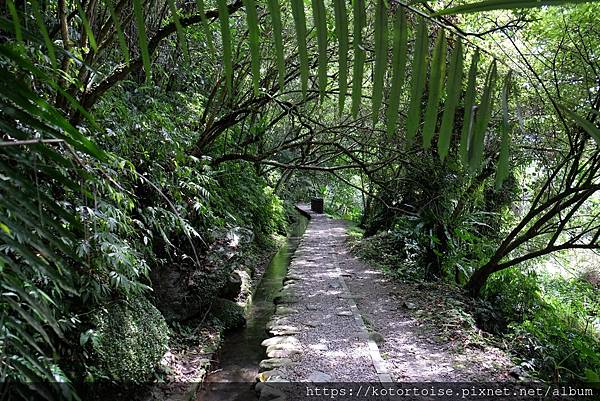 [台灣/新北] 2020.7 再訪福山部落,大羅蘭溪秘境玩水