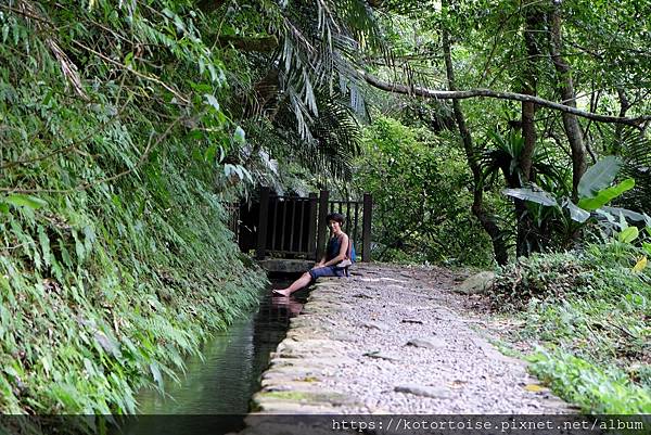 [台灣/新北] 2020.7 再訪福山部落,大羅蘭溪秘境玩水