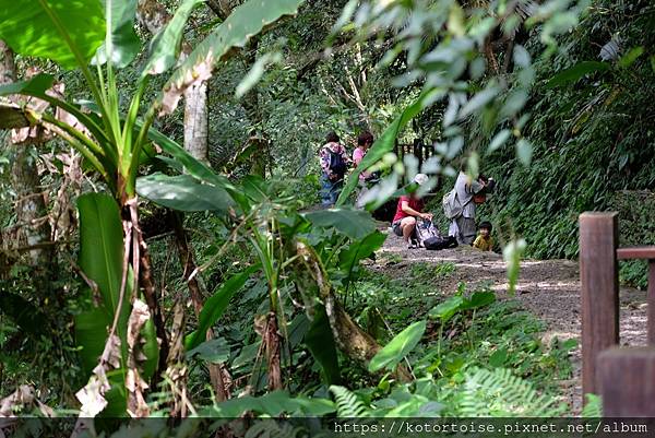 [台灣/新北] 2020.7 再訪福山部落,大羅蘭溪秘境玩水