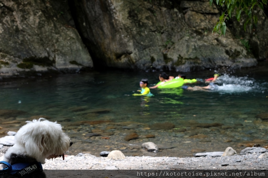 [台灣/新北] 2020.7 再訪福山部落,大羅蘭溪秘境玩水