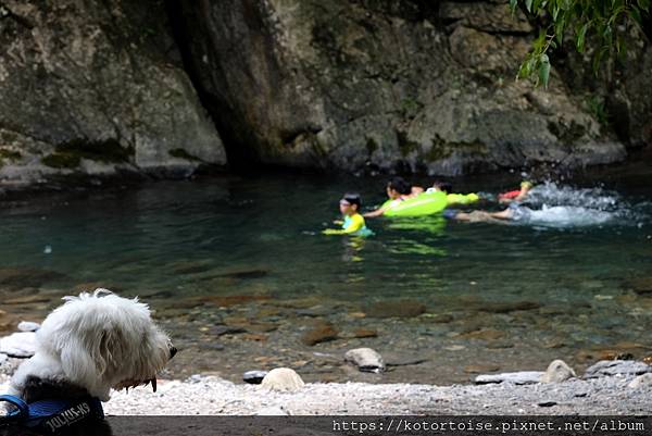 [犛牛的台灣景點] 新北: 近在咫尺的山水秘境