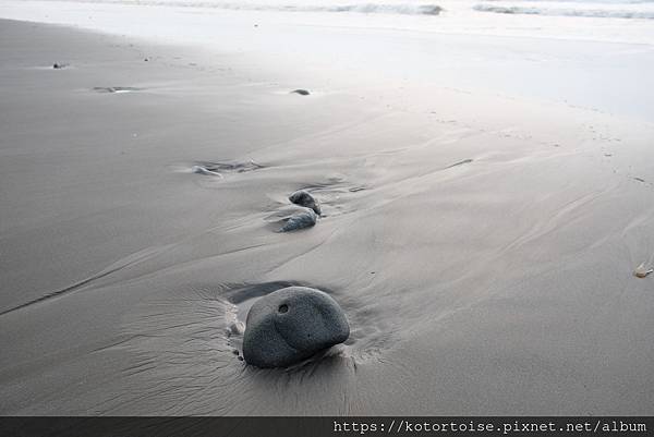 [台灣/台東] 2020.9 都蘭秘境黑沙灘與錦鸞越南美食