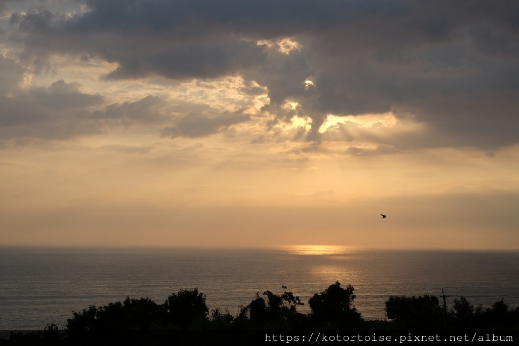 [沙發上的小幸福] 好書閱讀: 投資金律