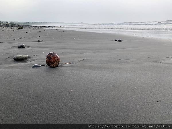 [台灣/台東] 2020.9 都蘭秘境黑沙灘與錦鸞越南美食