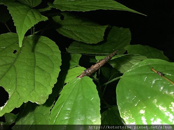 IMG_3168.jpg IMG_3168.jpg