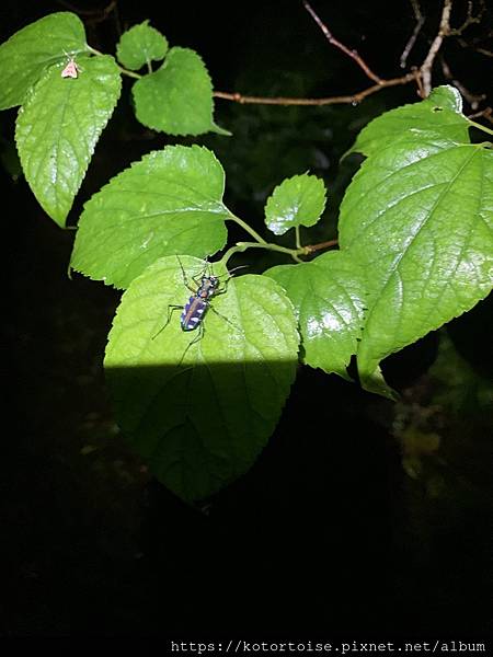 IMG_3170.jpg IMG_3170.jpg