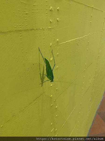 IMG_3165.jpg IMG_3165.jpg