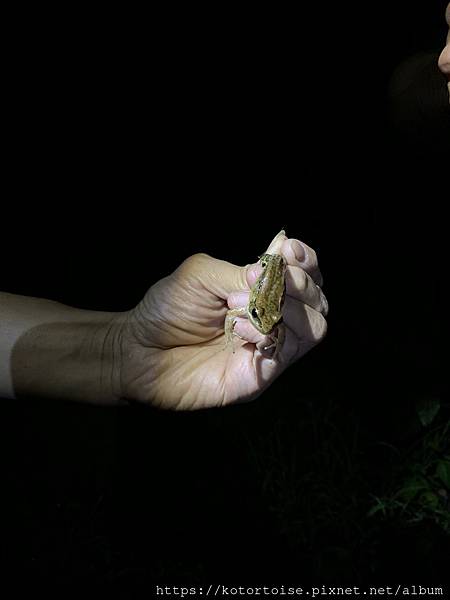 IMG_3172.jpg IMG_3172.jpg