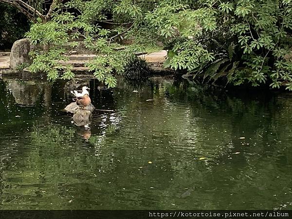 IMG_3175.jpg IMG_3175.jpg