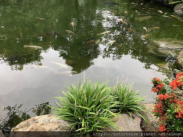 IMG_3177.jpg IMG_3177.jpg