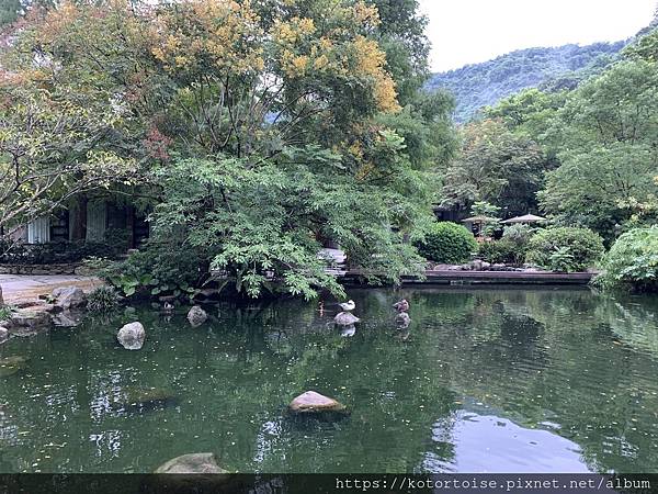 IMG_3178.jpg IMG_3178.jpg