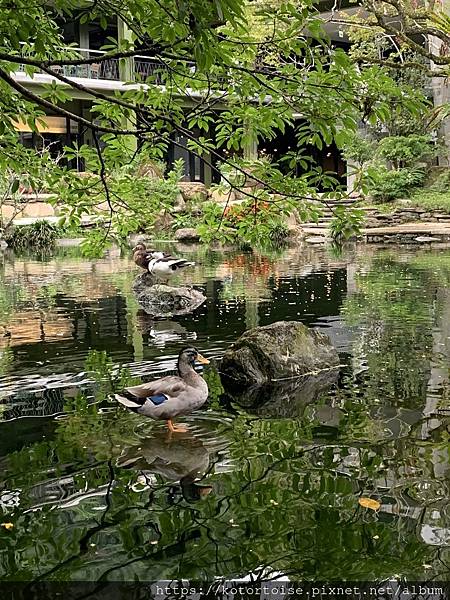 IMG_3183.jpg IMG_3183.jpg