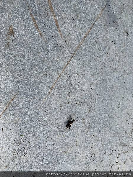 IMG_3186.jpg IMG_3186.jpg