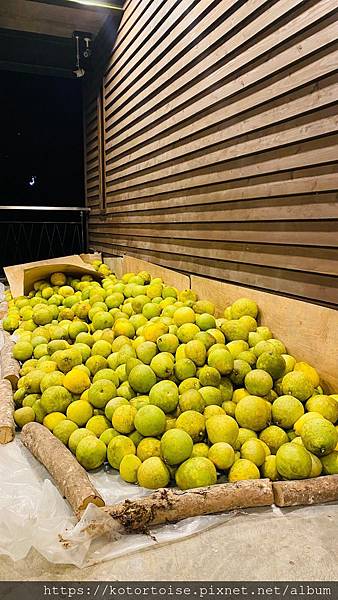 IMG_3216.jpg IMG_3216.jpg