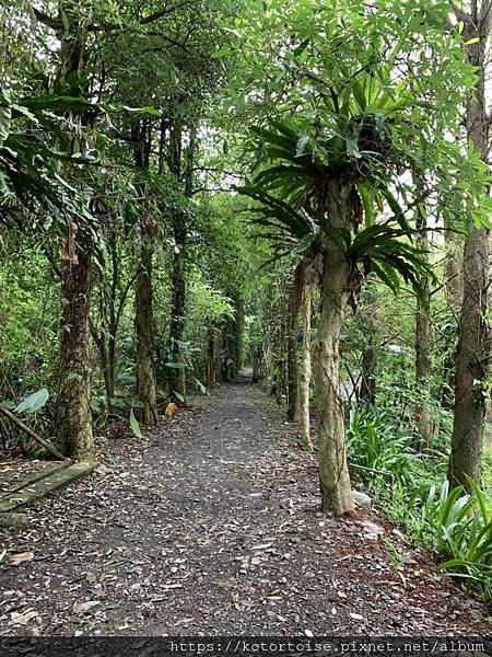 IMG_3219.jpg IMG_3219.jpg