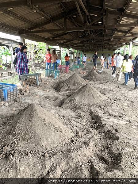 IMG_3231.jpg IMG_3231.jpg