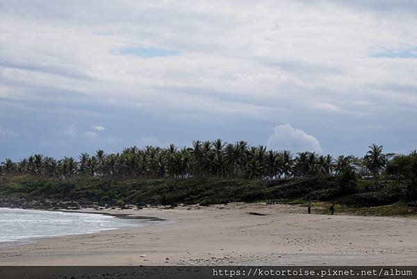 [台灣/台東] 2021.1 杉原海灘: 台東的海永遠不會讓