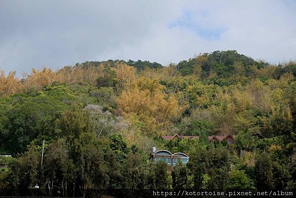 [台灣/南投] 2021.2 中興新村半日遊: 省府大草坪，