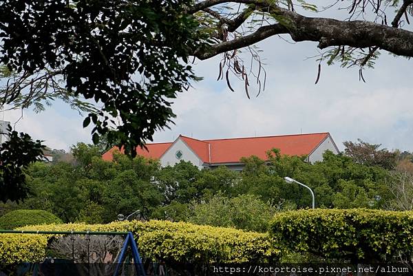 [台灣/南投] 2021.2 中興新村半日遊: 省府大草坪，