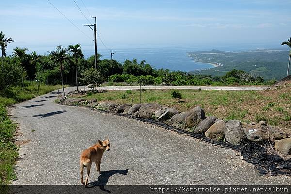 [台灣/台東] 沒有行程的台東純度假
