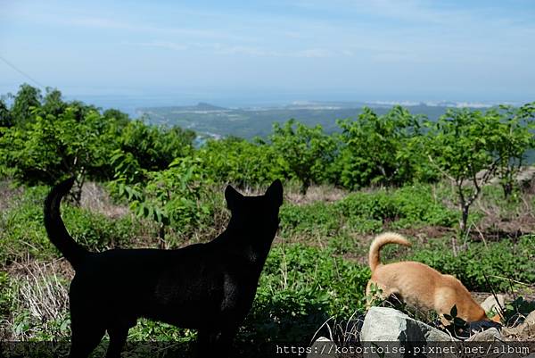 [台灣/台東] 沒有行程的台東純度假