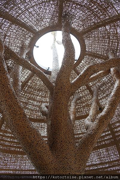 [台灣/台東] 沒有行程的台東純度假